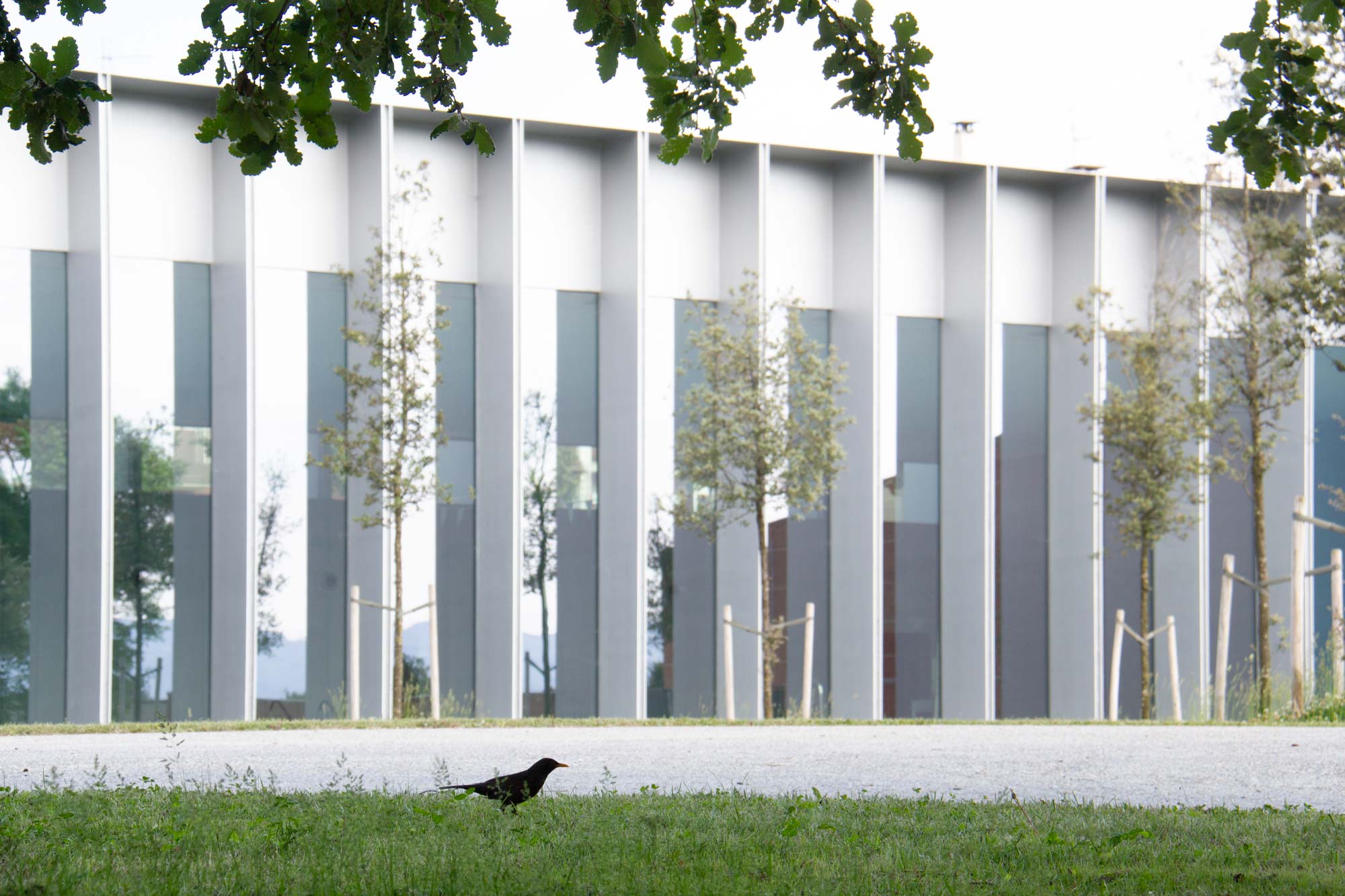 Enmotic - Smart Building sharing emotions